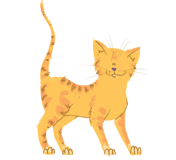 Finished cat illustration